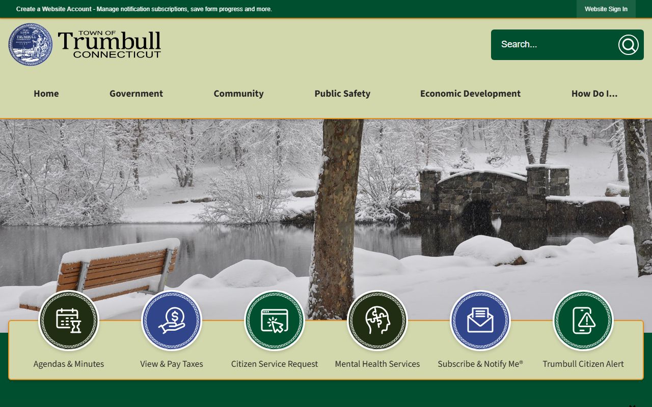 Trumbull Dissolution Of Marriage source screenshot